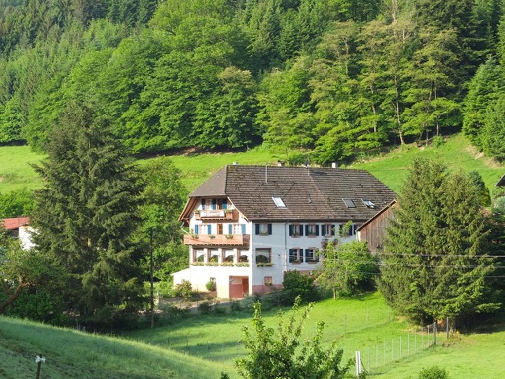 Hotel Gasthaus Schwert Seelbach  Zewnętrze zdjęcie