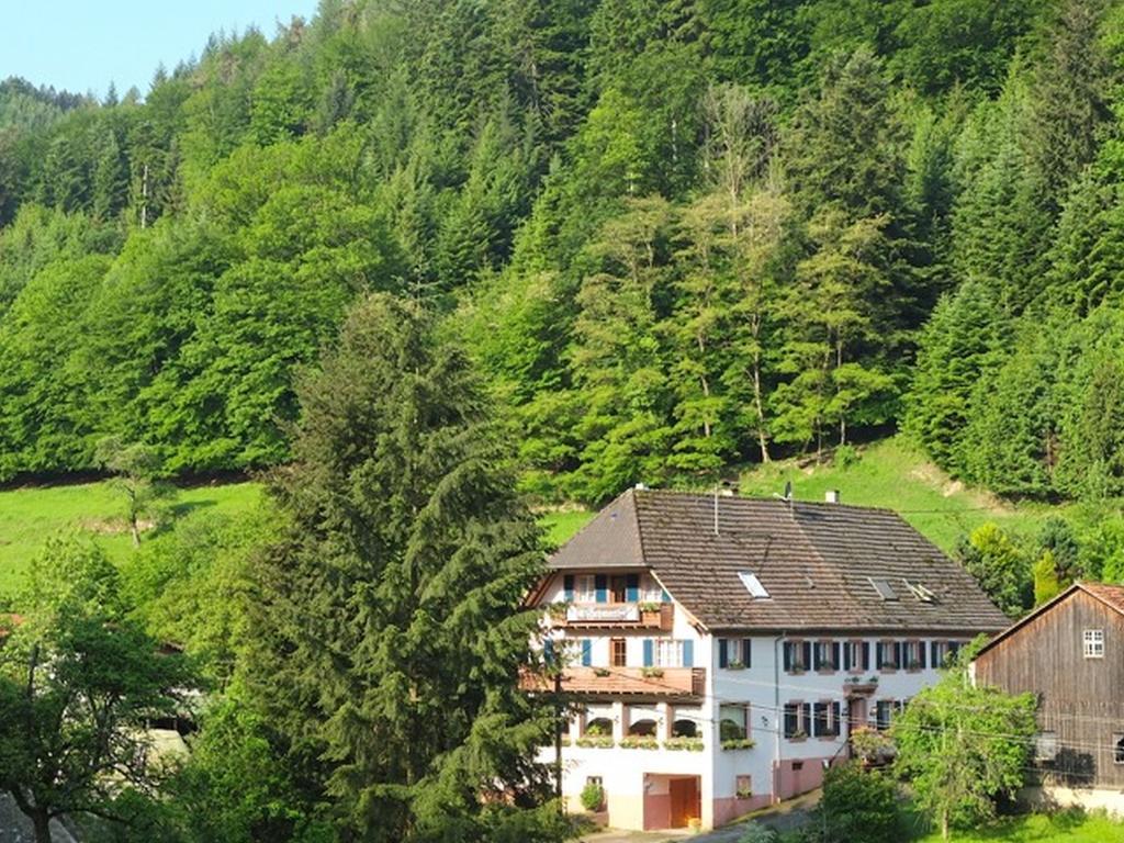 Hotel Gasthaus Schwert Seelbach  Zewnętrze zdjęcie