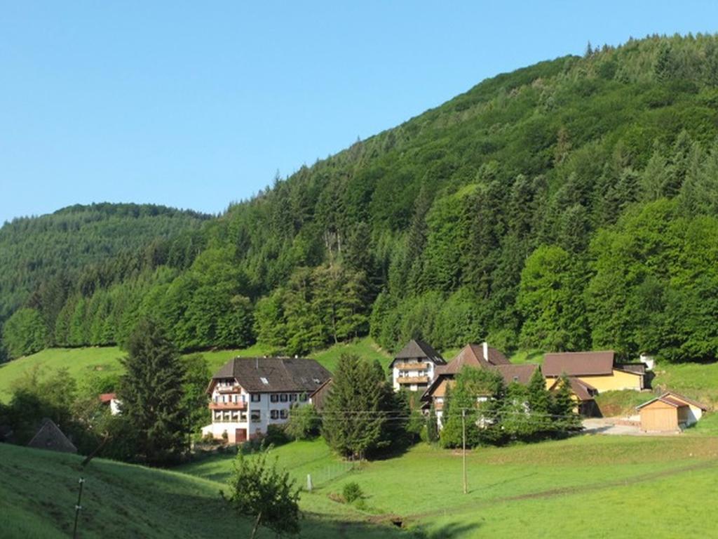 Hotel Gasthaus Schwert Seelbach  Zewnętrze zdjęcie