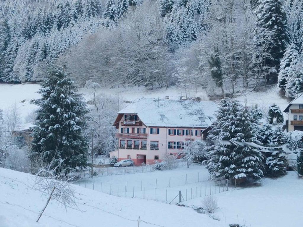 Hotel Gasthaus Schwert Seelbach  Zewnętrze zdjęcie