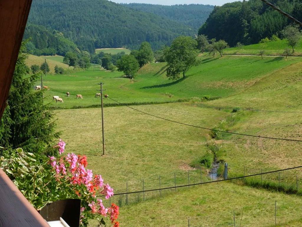 Hotel Gasthaus Schwert Seelbach  Zewnętrze zdjęcie