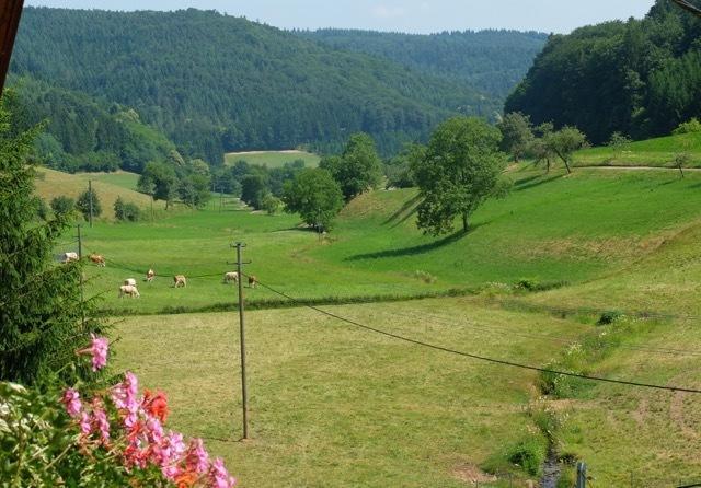 Hotel Gasthaus Schwert Seelbach  Zewnętrze zdjęcie